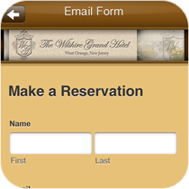 Custom Email Form